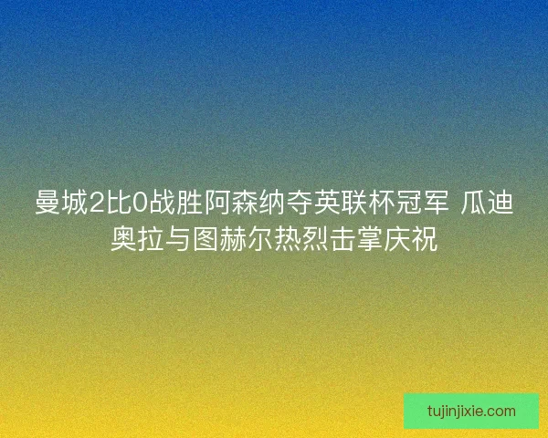 曼城2比0战胜阿森纳夺英联杯冠军 瓜迪奥拉与图赫尔热烈击掌庆祝