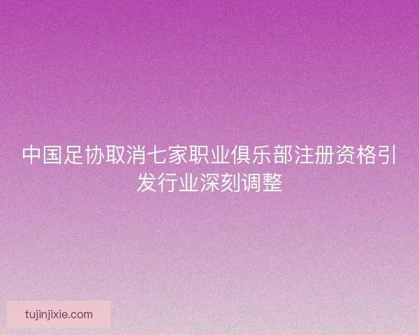 中国足协取消七家职业俱乐部注册资格引发行业深刻调整